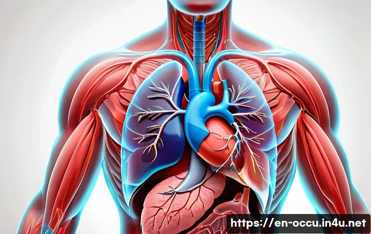 응급구조사 기초 의학 개념 - A detailed, realistic medical illustration of the human respiratory and cardiovascular systems inter...